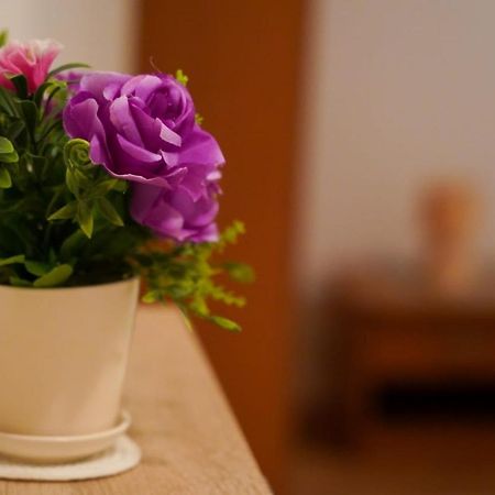 Apartment Lola Split Dış mekan fotoğraf