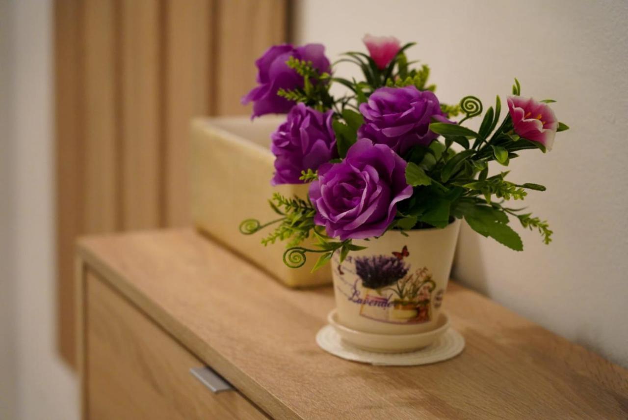 Apartment Lola Split Dış mekan fotoğraf