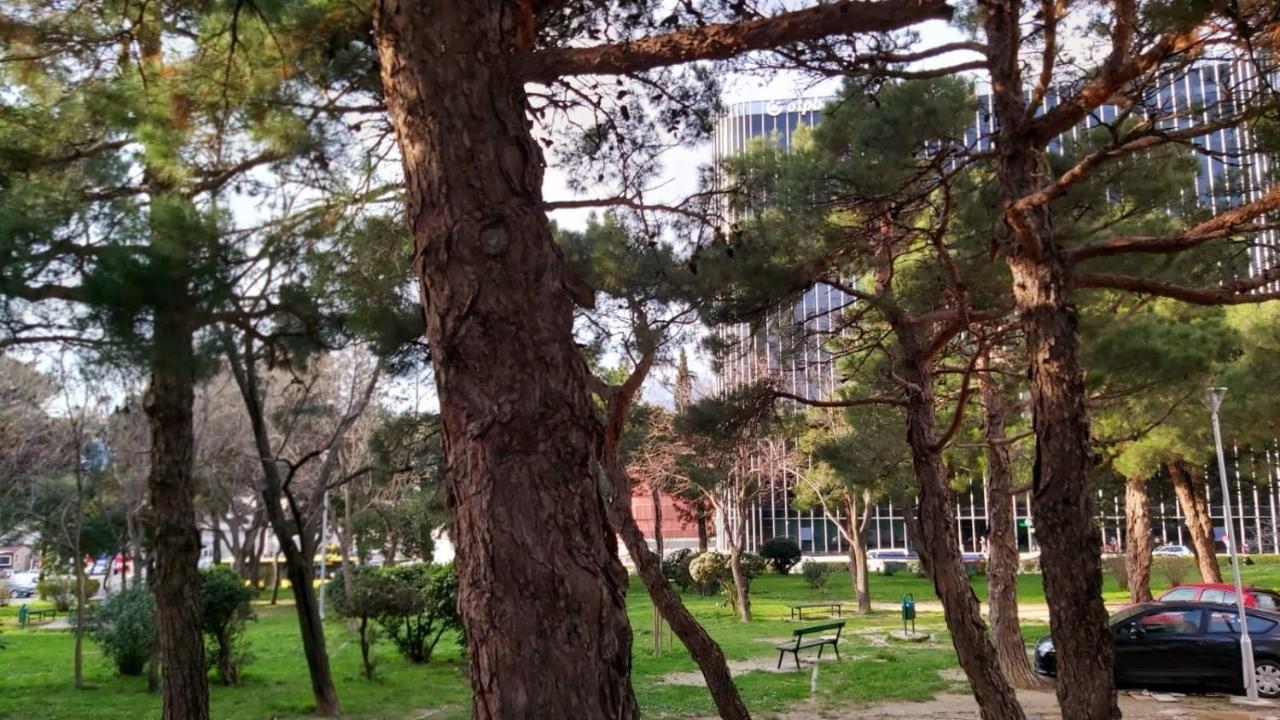Apartment Lola Split Dış mekan fotoğraf